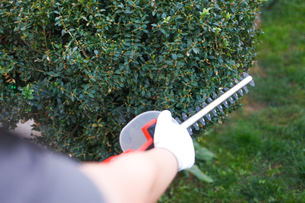 Hedge Trimming and Pruning